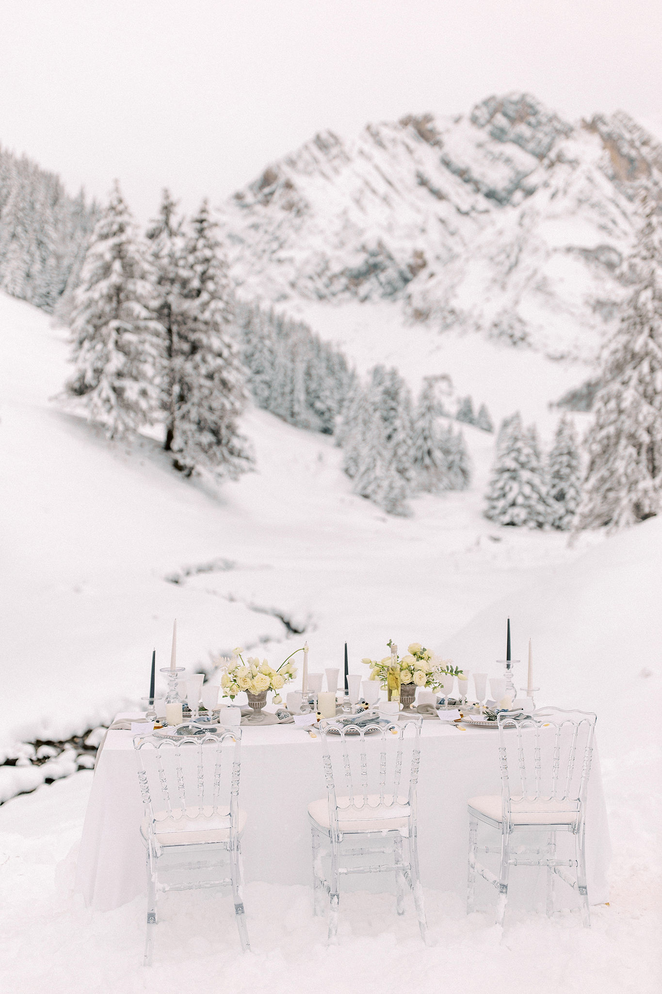 menthe-sauvage-fleuriste-mariage-hiver-neige-provence-lyon-beaujolais-bourgogne-haute-savoie