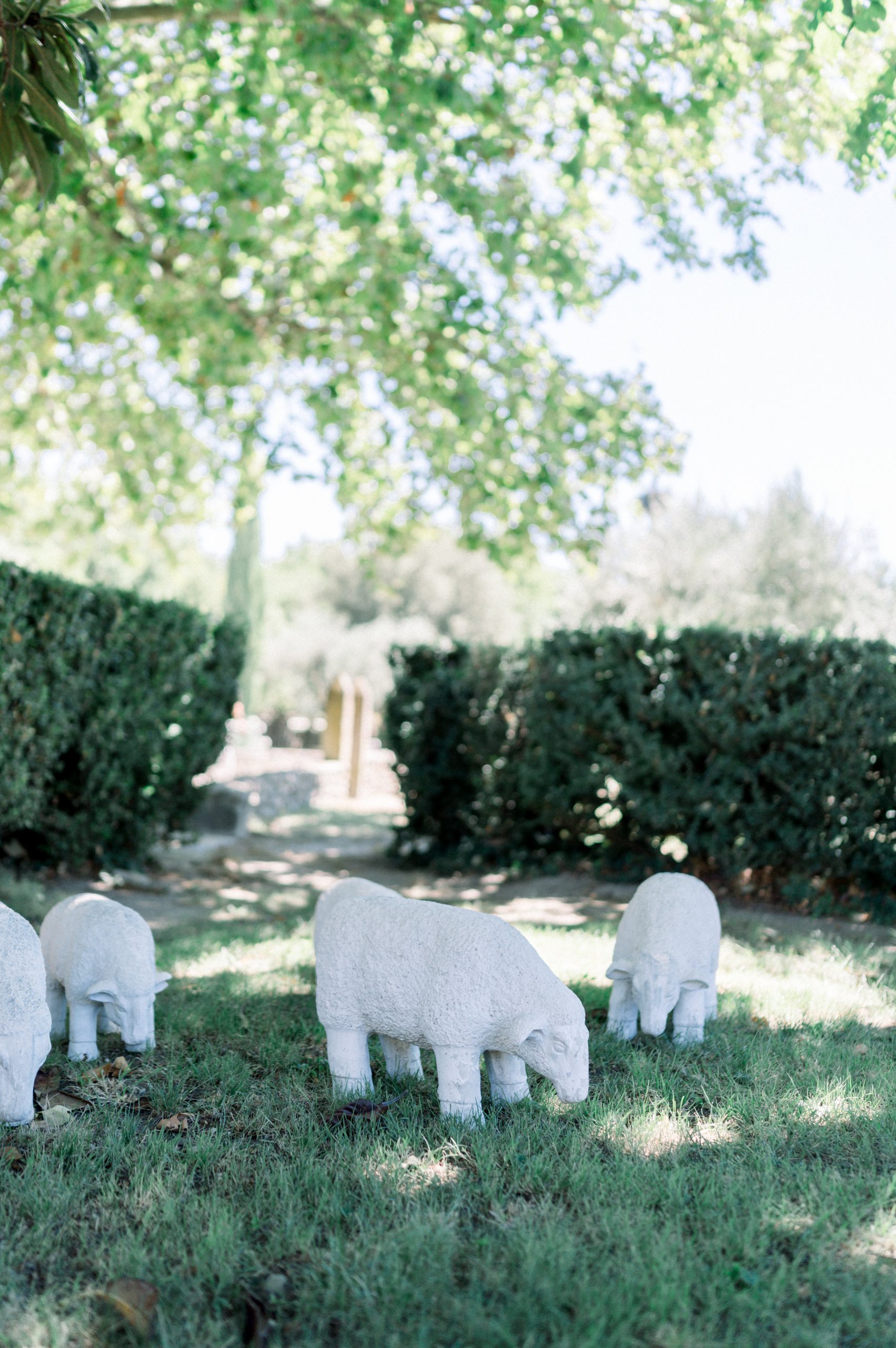 menthe-sauvage-fleuriste-mariage-lyon-provence-domaine-de-patras-bourgogne-romantique (12)