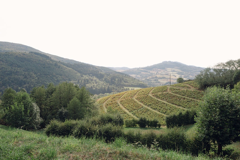 menthe-sauvage-fleuriste-mariage-beaujolais-rhone-alpes-bourgogne-provence-luxury-florist (51)