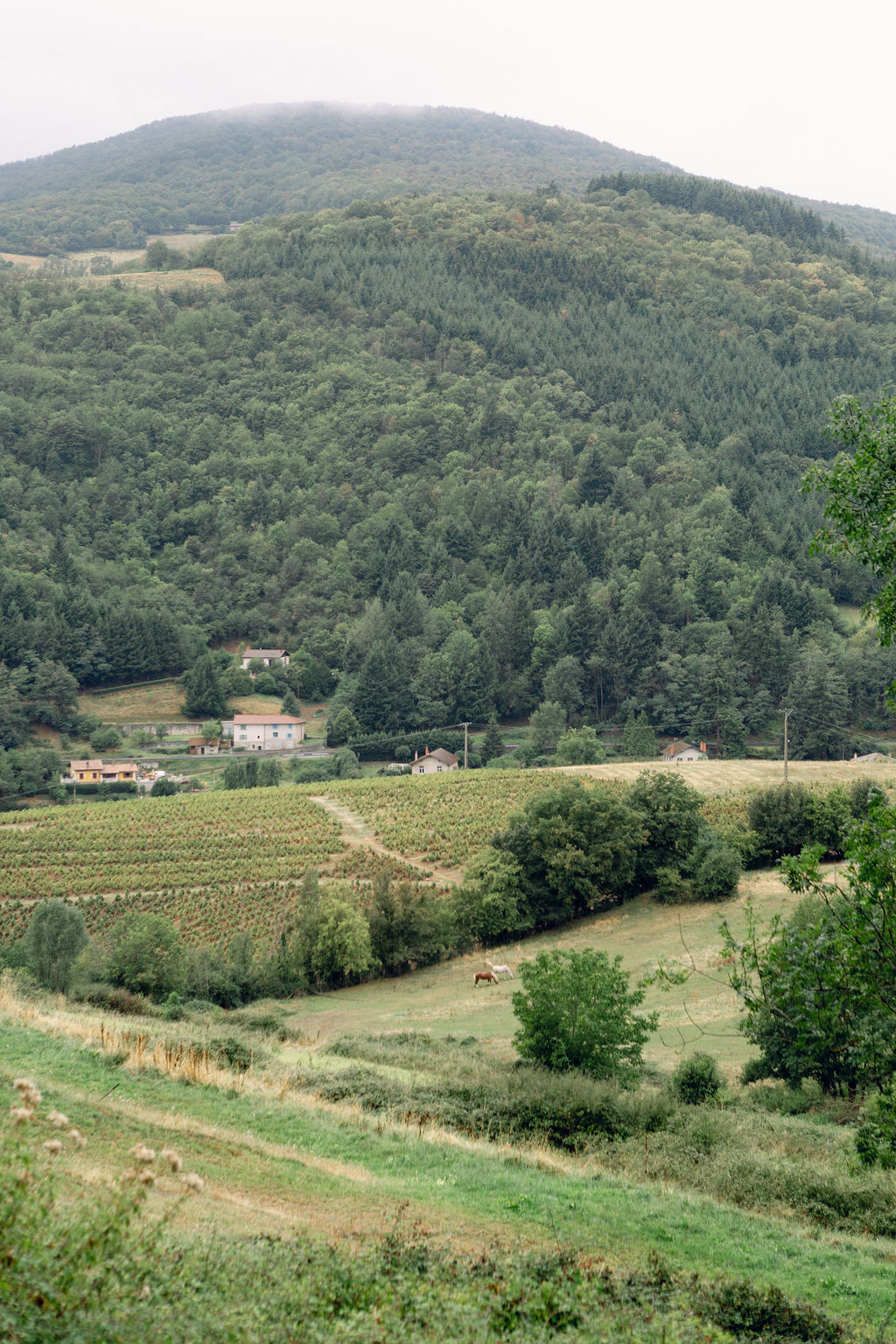 menthe-sauvage-fleuriste-mariage-beaujolais-rhone-alpes-bourgogne-provence-luxury-florist (53)