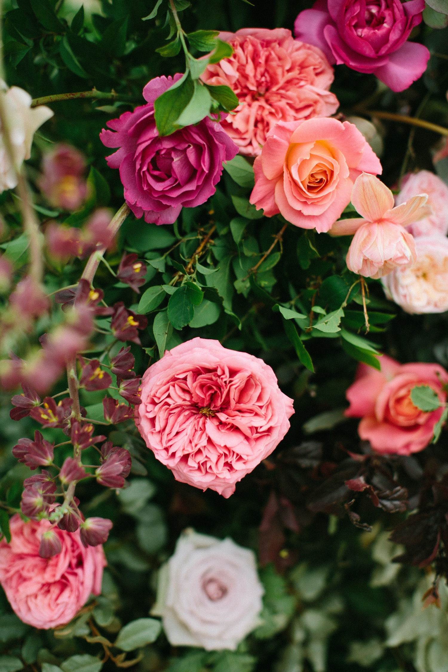 menthe-sauvage-fleuriste-mariage-provence-fineart-wedding-luxury (21)
