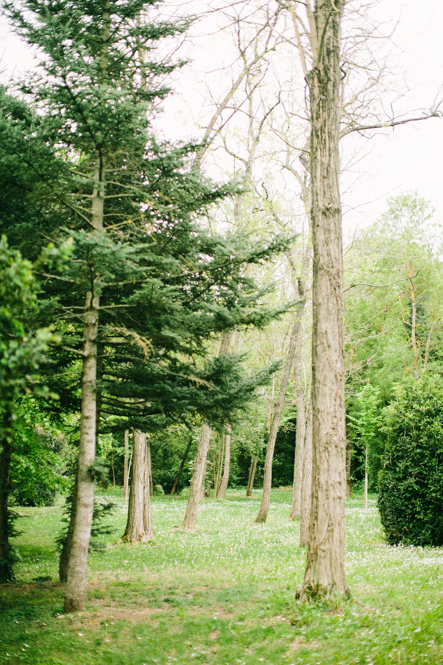 menthe-sauvage-fleuriste-mariage-provence-fineart-wedding-luxury (9)