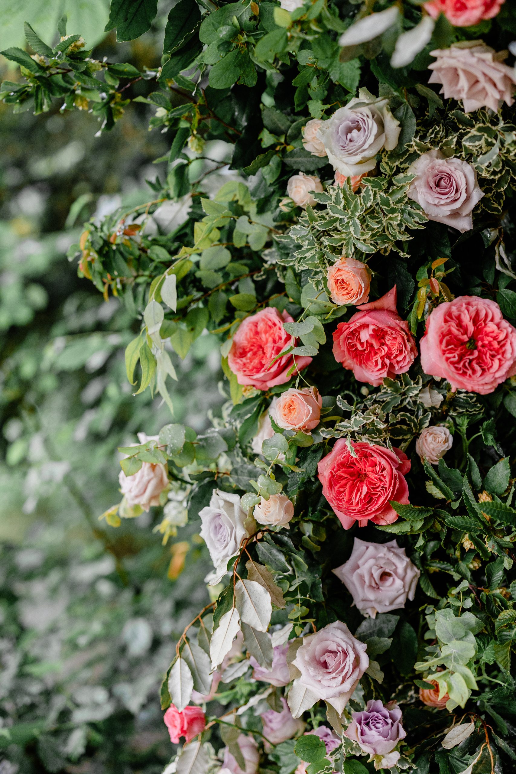 J&T Wedding HD 319
