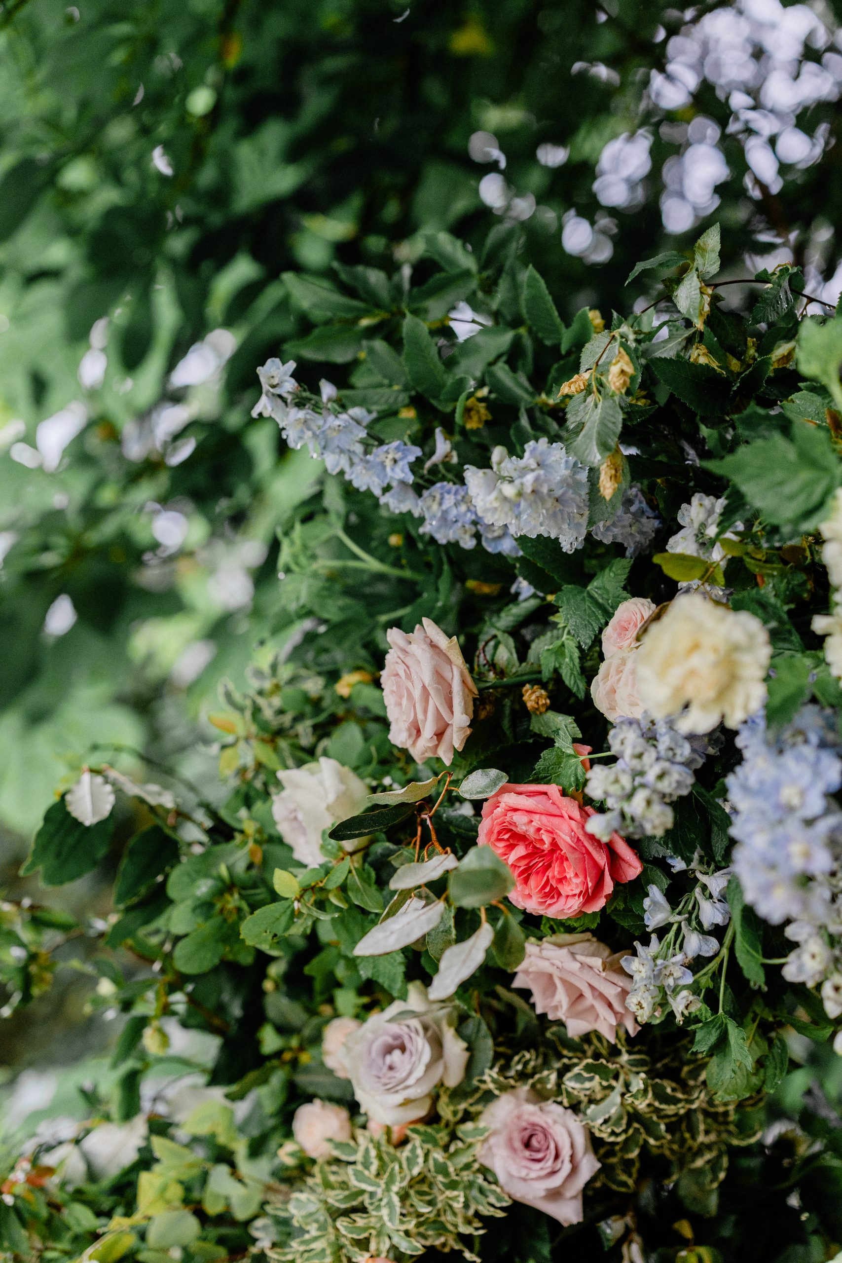 J&T Wedding HD 320