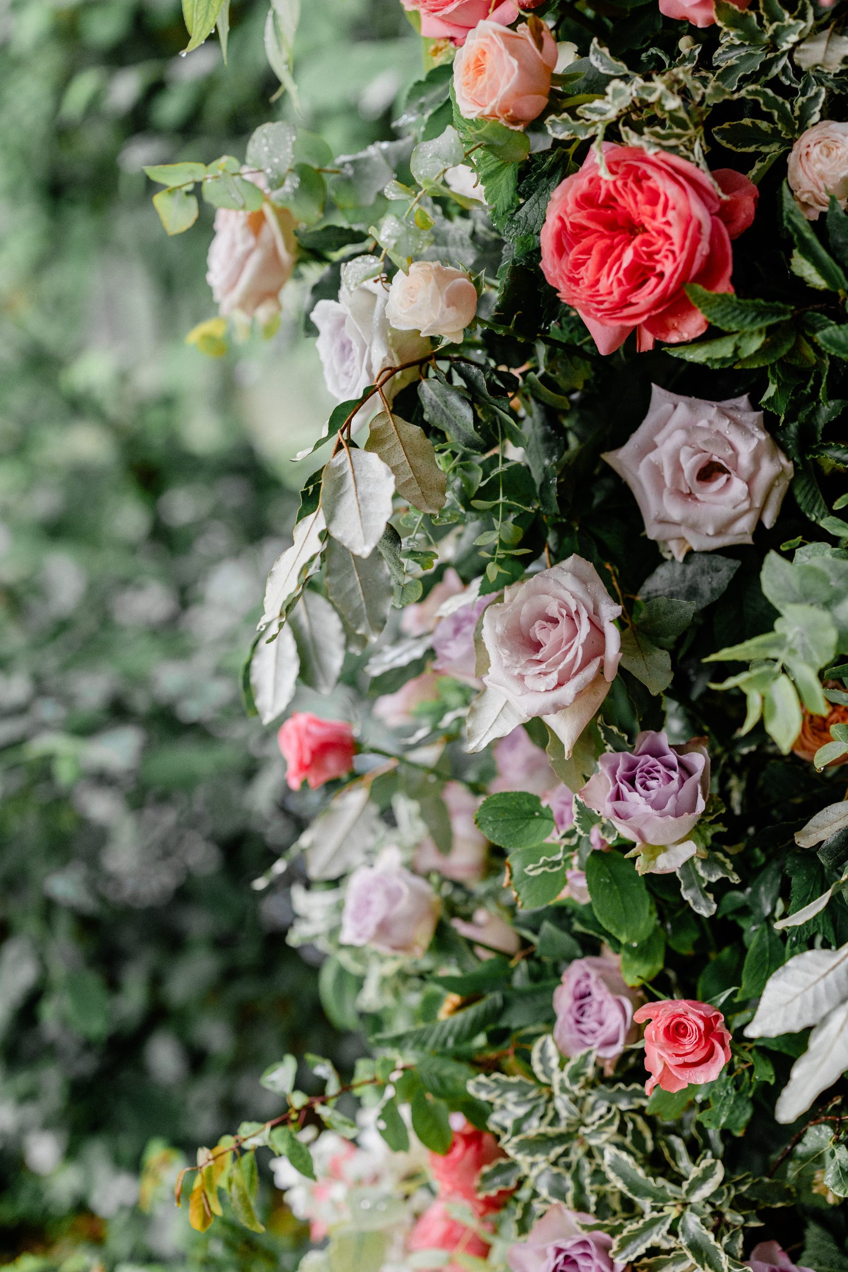 J&T Wedding HD 321
