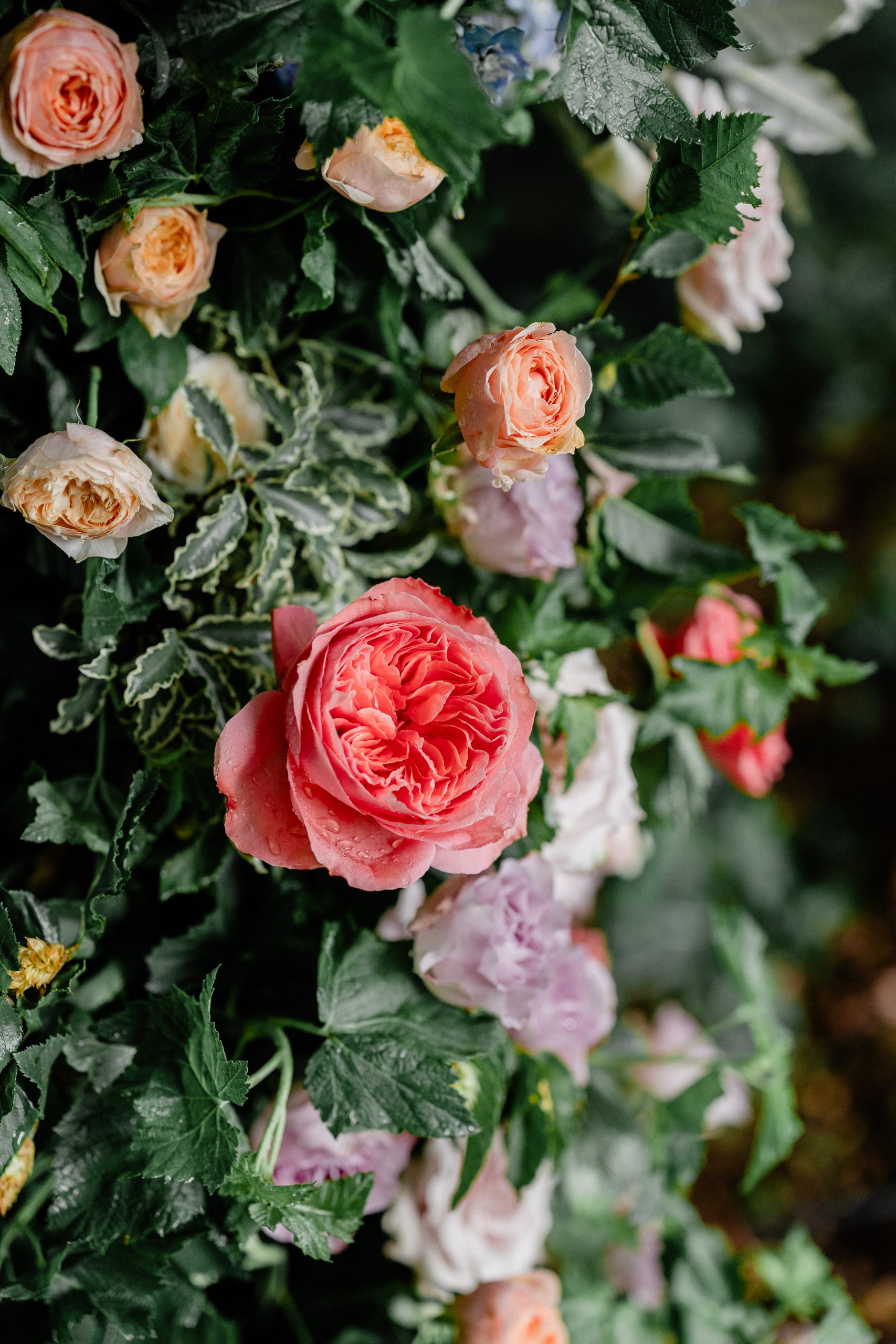 J&T Wedding HD 323