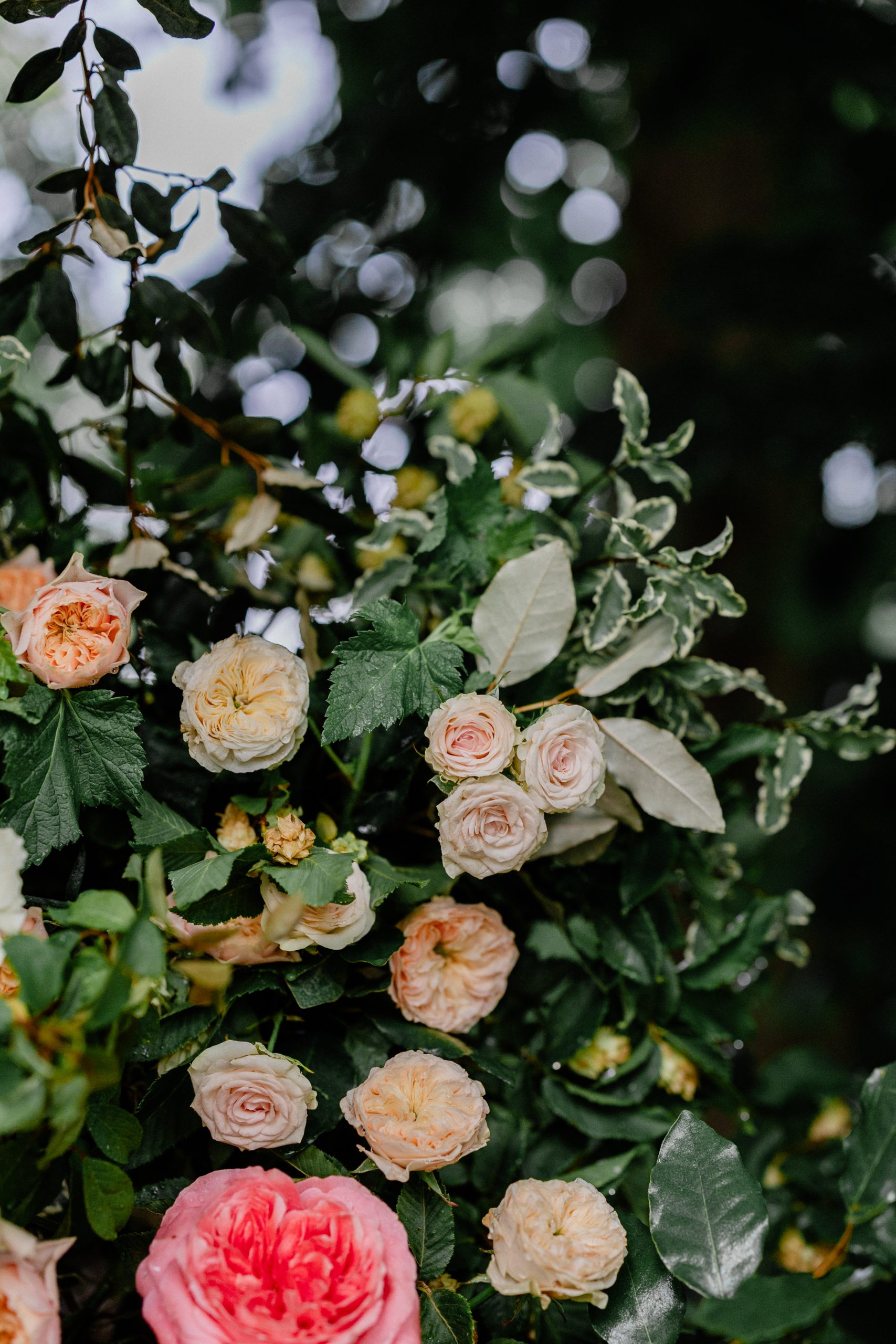 J&T Wedding HD 324