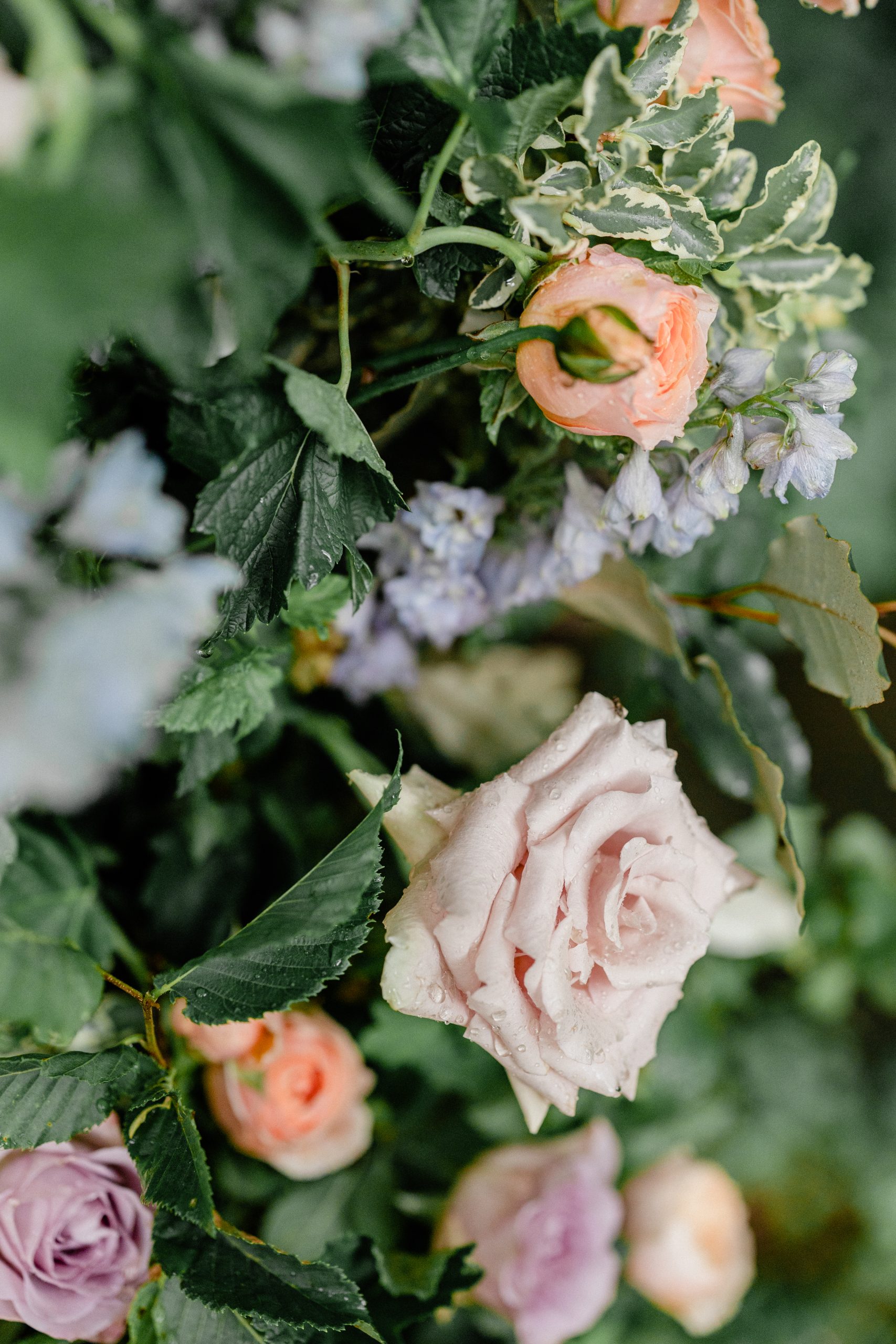 J&T Wedding HD 326