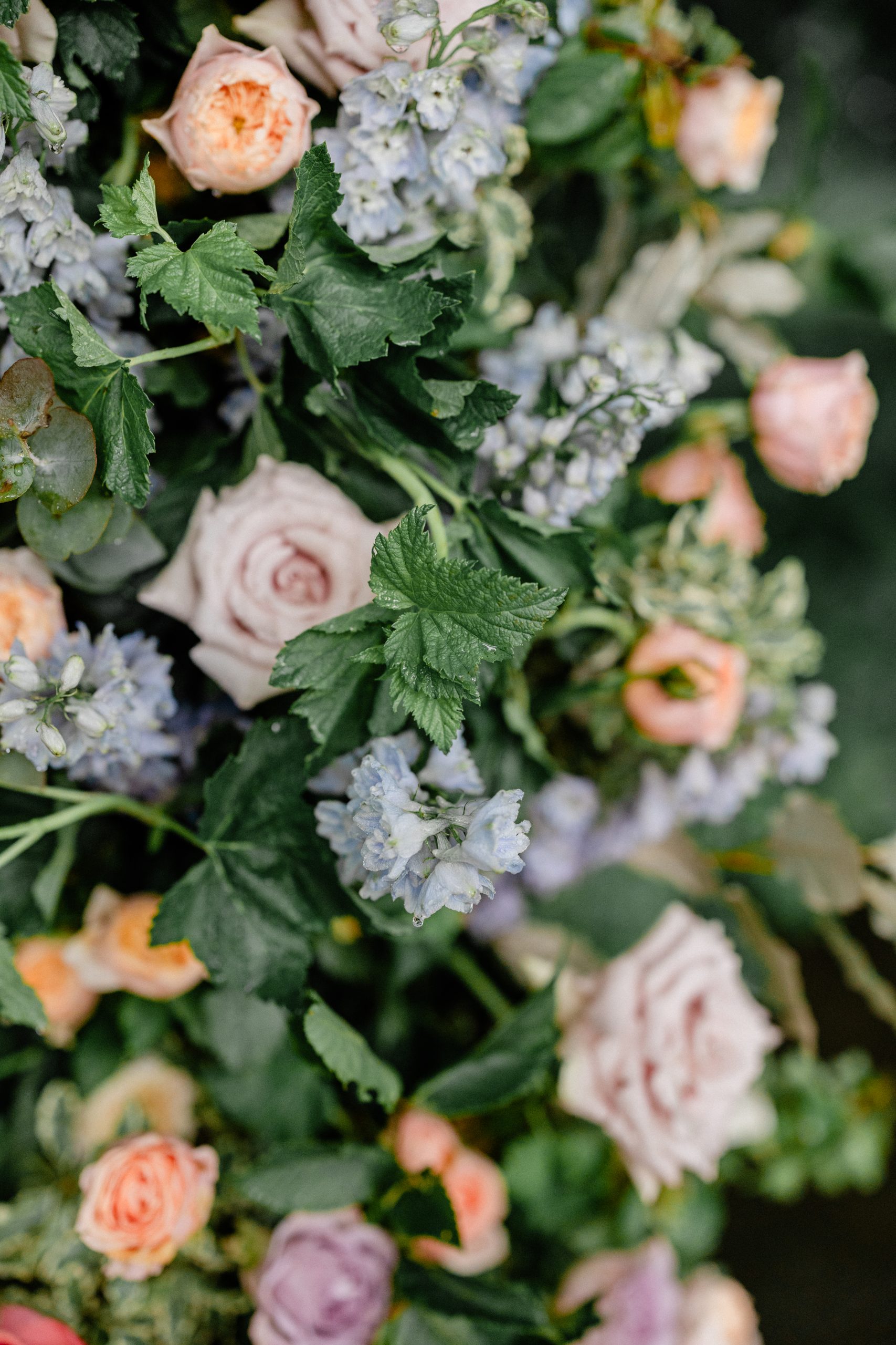 J&T Wedding HD 327